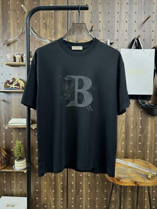 Picture of Burberry T Shirts Short _SKUBurberryS-2XLxetr16719756
